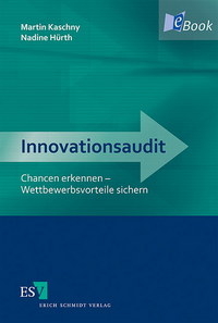 eBook Innovationsaudit