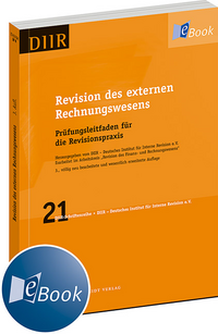 Revision des externen Rechnungswesens