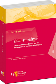Bilanzanalyse – Unternehmensbeurteilung auf der Basis von HGB- und IFRS-Abschlüssen