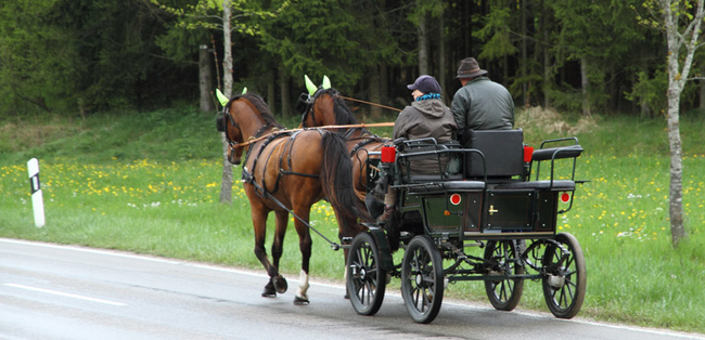 bfh-zum-taxiverkehr-mit-pferdefuhrwerken