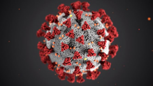 wie-das-coronavirus-uns-zeigt-dass-arbeitsschutz-relativ-ist