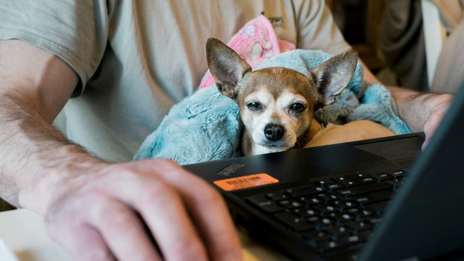 wie-wird-homeoffice-nach-corona-aussehen