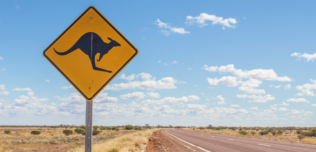 transpositionen-eine-neue-reihe-mit-australischer-perspektive-auf-die-germanistik