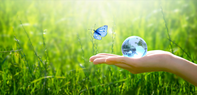 bverfg-klimaschutzgesetz-ksg-zum-teil-verfassungswidrig