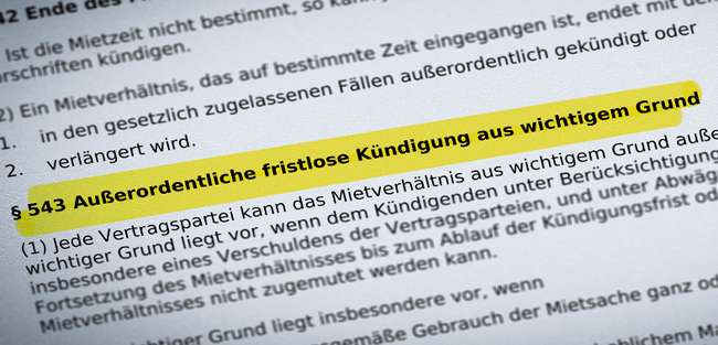 ag-hanau-zu-angriff-auf-vermieterin-mit-eimer-voll-wasser-als-grund-zur-fristlosen-kuendigung