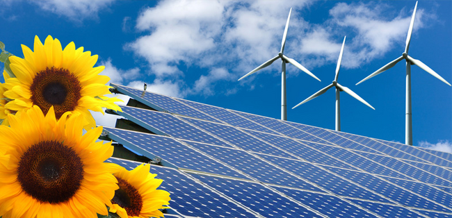 immer-mehr-haushalte-nutzen-technologie-fuer-die-energiewende