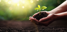 Gesetzentwurf zur EUDR noch in Abstimmung – Fokus auf Null-Risiko-Variante