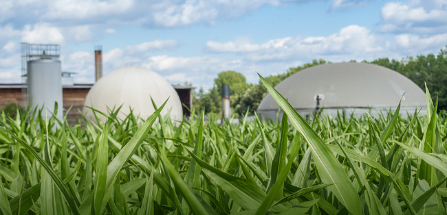 bundesfinanzhof-zur-rueckfuehrung-von-biomasse-nach-biogaserzeugung