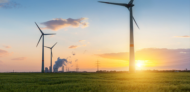 graichen-fordert-klimaschutz-sofortprogramm