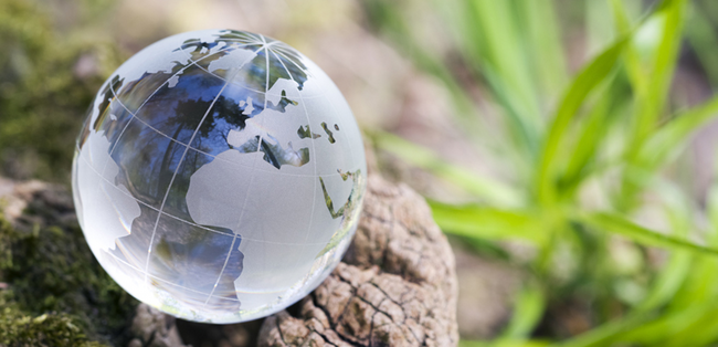 biokohle-als-beitrag-zum-klimaschutz