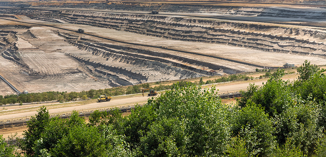 hambacher-forst-auf-basis-welcher-argumente-stoppte-das-ovg-muenster-die-rodung