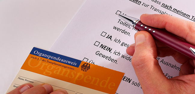 organmangel-bonus-system-als-loesung