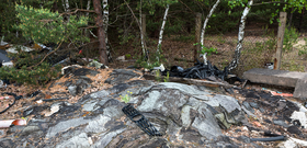Eigent&uuml;mer m&uuml;ssen &bdquo;wilden M&uuml;ll&ldquo; auf frei zug&auml;nglichen Waldgrundst&uuml;cken nicht selbst beseitigen