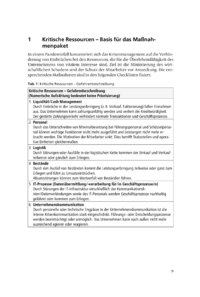 Dokument Kritische Ressourcen &ndash; Basis f&uuml;r das Ma&szlig;nahmenpaket