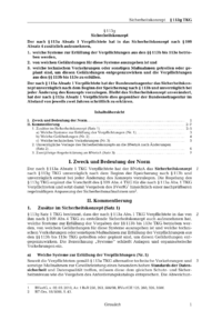 Dokument § 113g Sicherheitskonzept