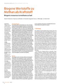 Dokument Biogene Wertstoffe zu Methan als Kraftstoff