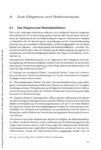 Dokument Due Diligence und Risikoanalyse