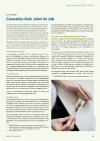 Dokument Cannabis: Kein Joint im Job