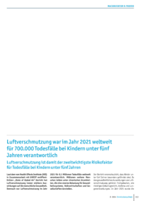 Dokument Luftverschmutzung war im Jahr 2021 weltweit für 700.000 Todesfälle bei Kindern unter fünf Jahren verantwortlich