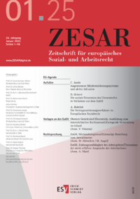 Dokument ZESAR Ausgabe 01 2025