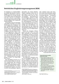 Dokument sis Stichwort: Betriebliches Eingliederungsmanagement (BEM)