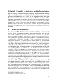 Dokument Überblick zu Sanktions- und Haftungsrisiken