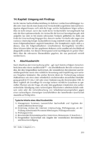 Dokument Umgang mit Findings