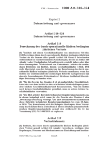 Dokument Artikel 316-324 Datenerhebung und -governance