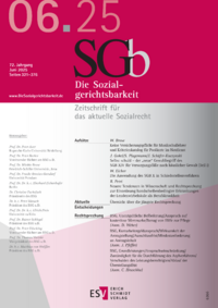 Dokument Die Sozialgerichtsbarkeit Ausgabe 06 2025