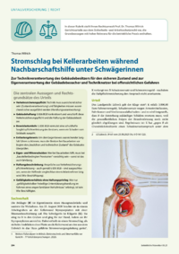 Dokument Stromschlag bei Kellerarbeiten während Nachbarschaftshilfe unter Schwägerinnen