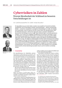 Dokument Cyberrisiken in Zahlen