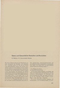 Dokument Genus und Genusfeld im Deutschen und Russischen