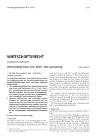 Dokument Offensichtliche Fehler einer Strom- oder Gasrechnung