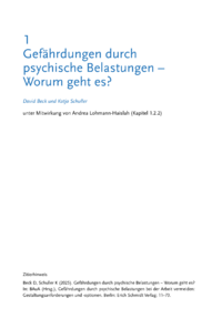 Dokument Gefährdungen durch psychische Belastungen – Worum geht es?