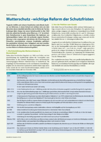 Dokument Mutterschutz –wichtige Reform der Schutzfristen