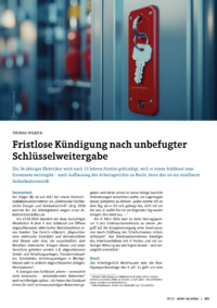Dokument Fristlose Kündigung nach unbefugter Schlüsselweitergabe