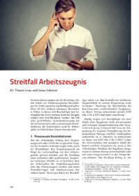 Dokument Streitfall Arbeitszeugnis