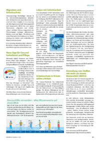 Dokument Produkte / Dienstleistungen / Medien