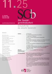 Dokument Die Sozialgerichtsbarkeit Ausgabe 11 2025