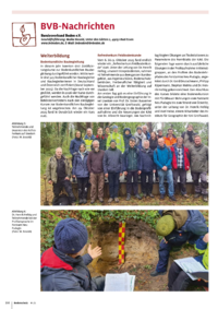 Dokument BVB-Nachrichten