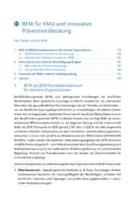 Dokument BEM für KMU und innovative Präventionsberatung