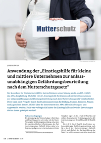 Dokument Anwendung der &bdquo;Einstiegshilfe f&uuml;r kleine und mittlere Unternehmen zur anlassunabh&auml;ngigen Gef&auml;hrdungsbeurteilung nach dem Mutterschutzgesetz&ldquo;