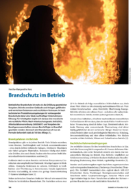 Dokument Brandschutz im Betrieb