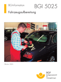 Dokument Fahrzeugaufbereitung