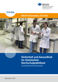 Dokument Sicherheit und Gesundheit im chemischen Hochschulpraktikum