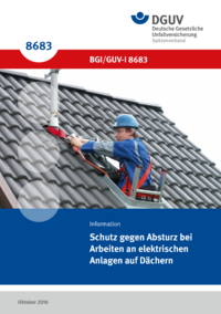 Dokument Schutz gegen Absturz bei Arbeiten an elektrischen Anlagen auf D&auml;chern