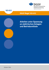 Dokument Arbeiten unter Spannung an elektrischen Anlagen und Betriebsmitteln