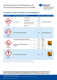 Dokument GHS-Plakat: Physikalisch-chemische Gefahren und Umweltgefahren