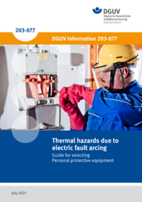 Dokument Thermal hazards from electric fault arcing