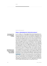 Dokument Piloten: Selbst&auml;ndig oder Arbeitnehmerstatus?